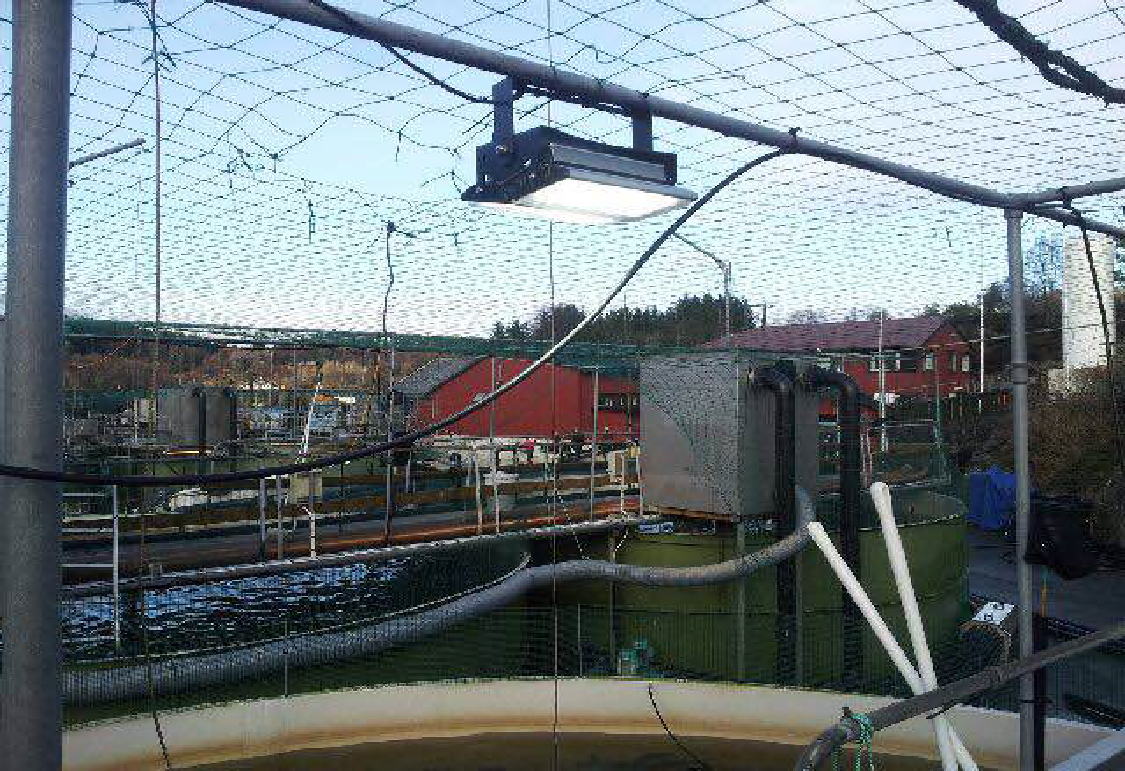 Fish farming . Alsaker fjordbruk in Norway . 160W